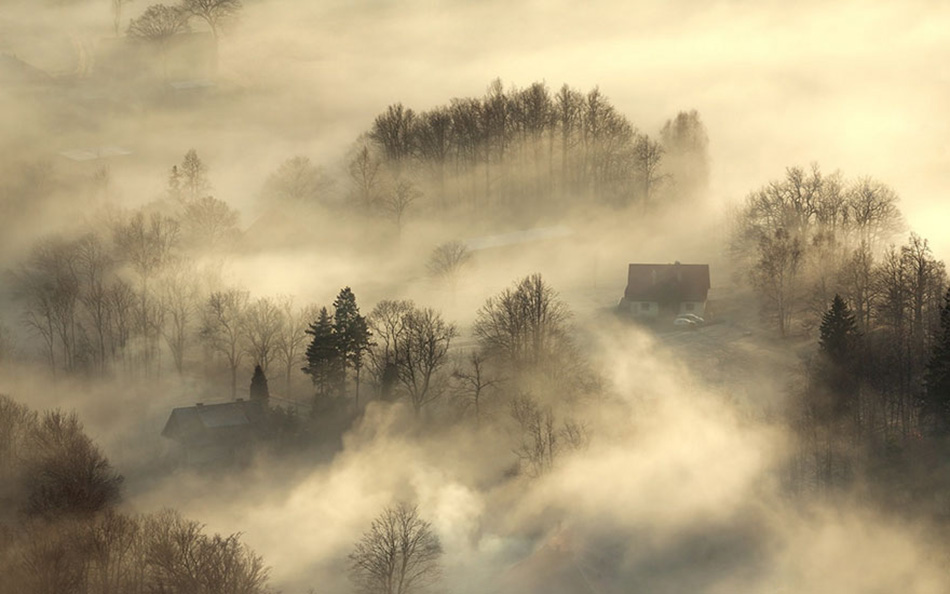 cozy-cabins-in-the-woods