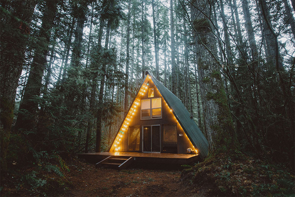 cozy-cabins-in-the-woods