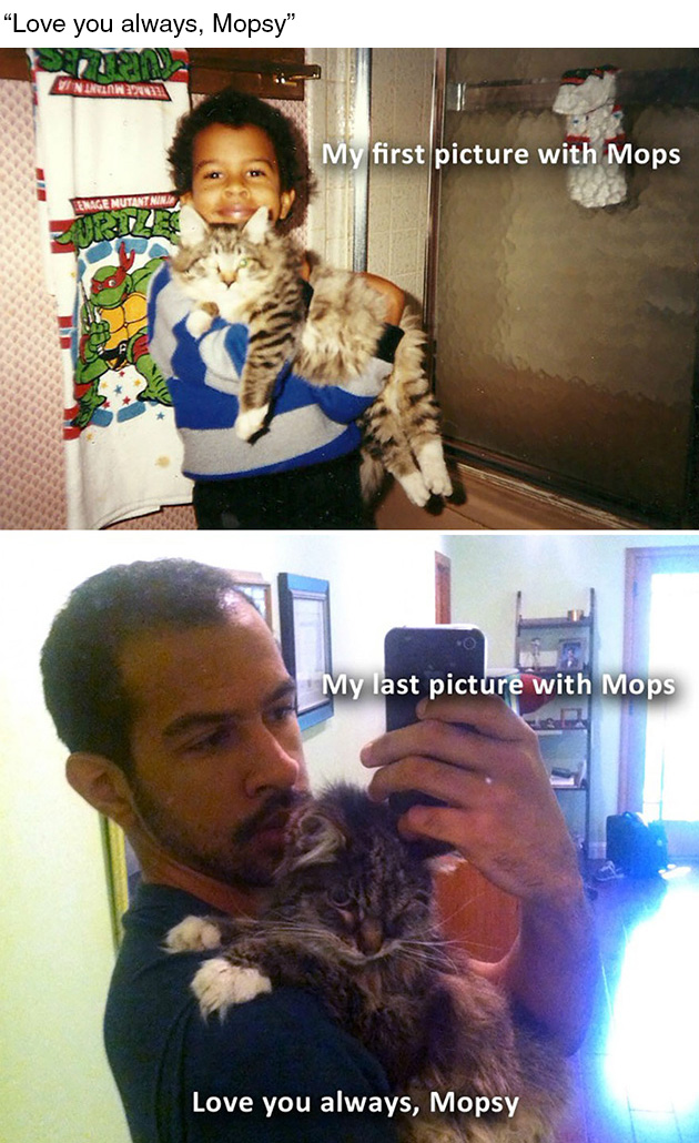 dying-cat-holds-hands-owner-andrew-4