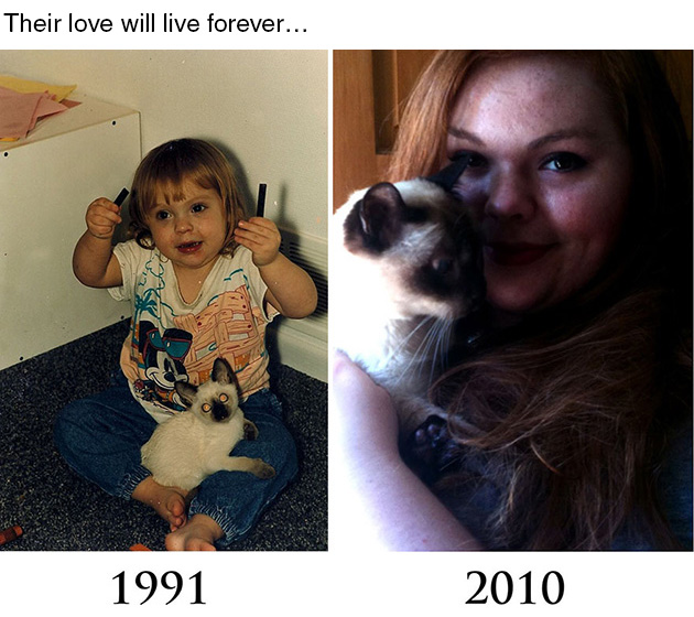dying-cat-holds-hands-owner-andrew-6