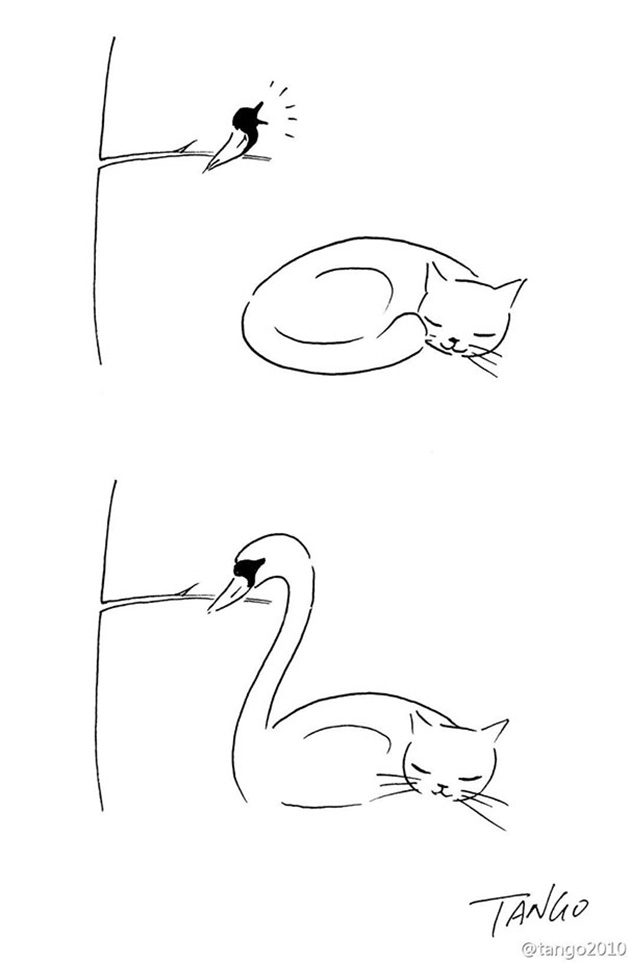 funny-comics-shanghai-tango