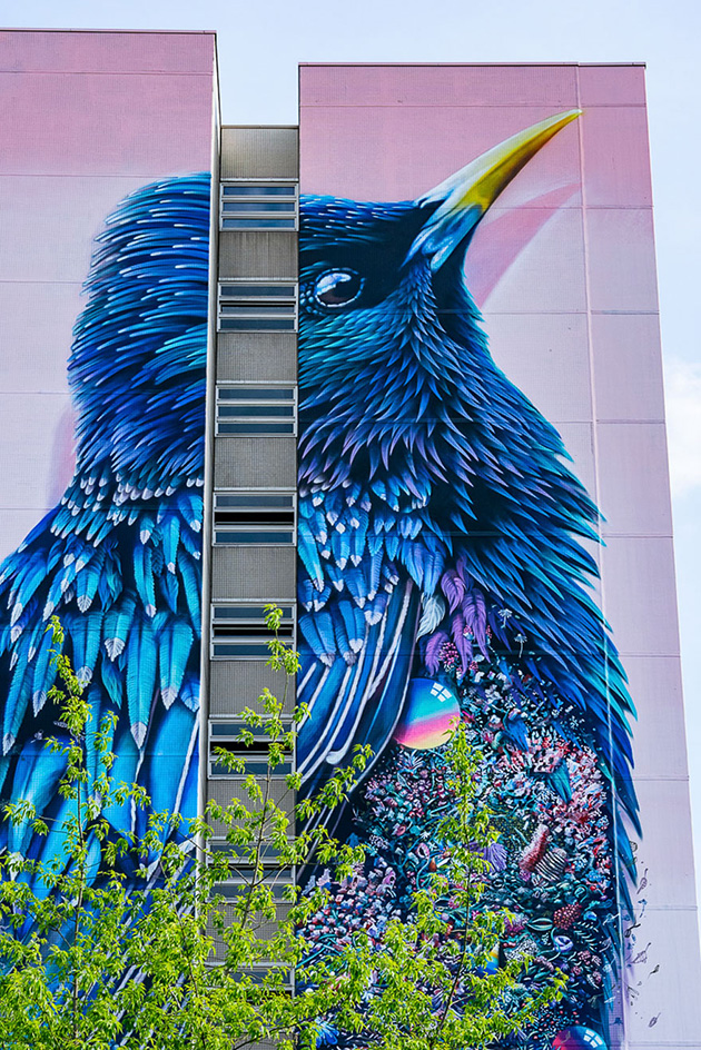 giant-starling-mural-street-art-collin-van-der-sluijs-super-a-berlin