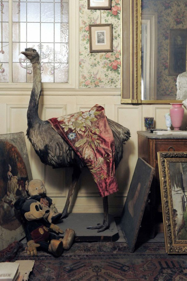 perfectly-preserved-paris-apartment-discovered-after-70-years-with-valuables-and-paintings-5