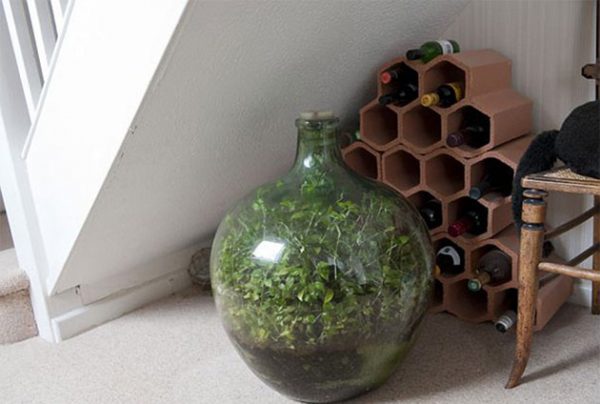 David Latimer Hasn’t Watered This Sealed Bottle Garden Since 1972