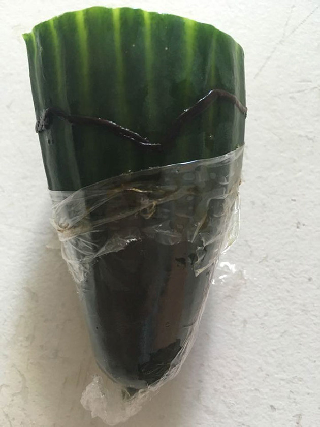 tesco-cucumber-worm-funeral-wes-metcalfe