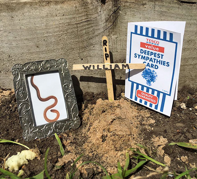 tesco-cucumber-worm-funeral-wes-metcalfe
