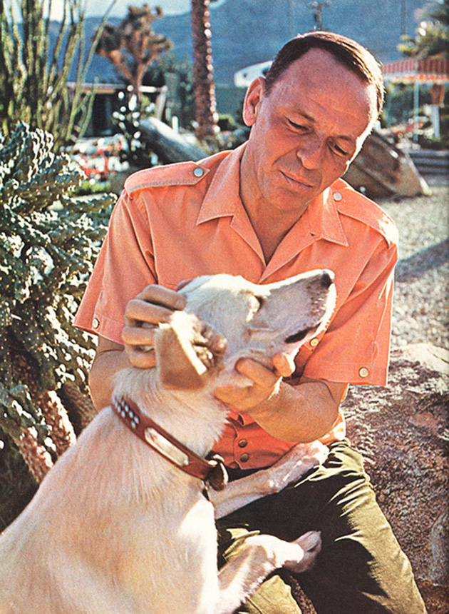 iconic-celebrities-with-pets