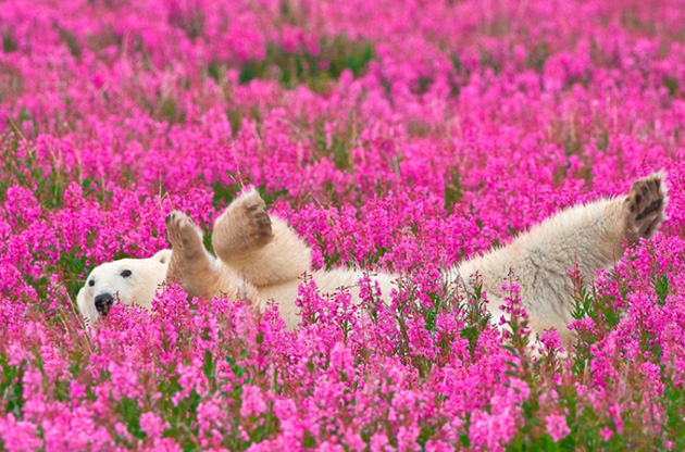 outstanding-photographs