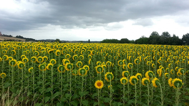 outstanding-photographs
