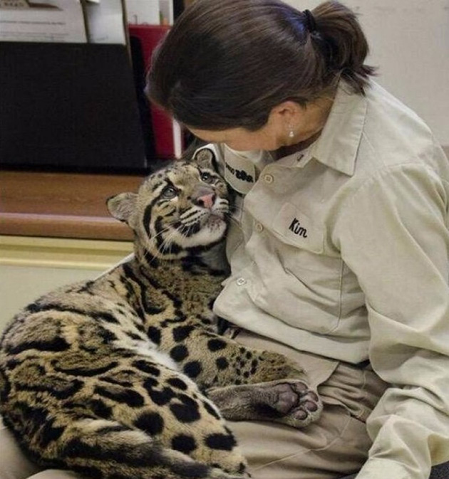 outstanding-photographs