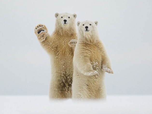 outstanding-photographs