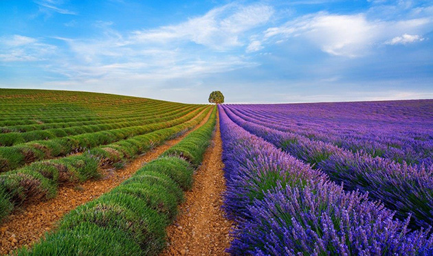 outstanding-photographs-3