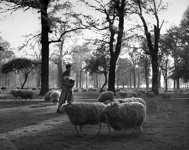 romance-wartime-photos