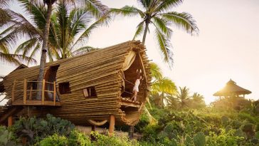 treehouse in mexico