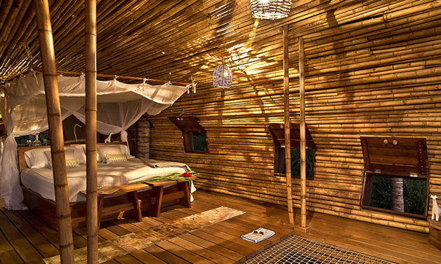 playa-viva-treehouse-bamboo-3