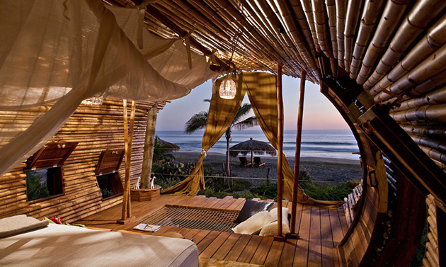 treehouse in mexico