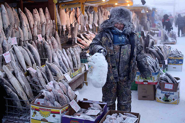 Photos of Yakutsk and Oymyakon