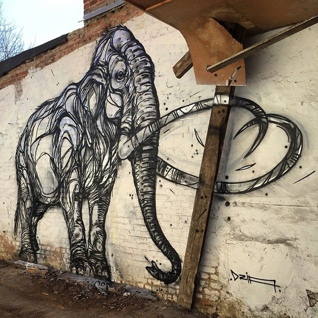 animal-street-art