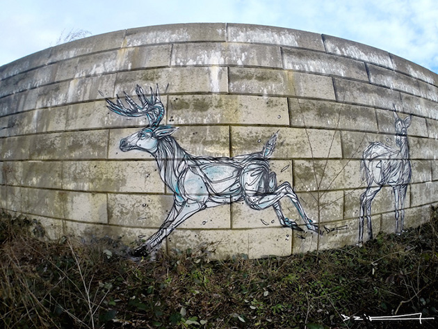 animal-street-art