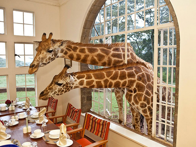 cool-hotels