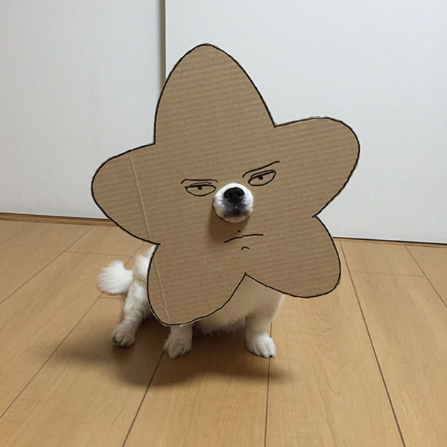 dog-costume-cardboard-cutouts-myouonnin-1