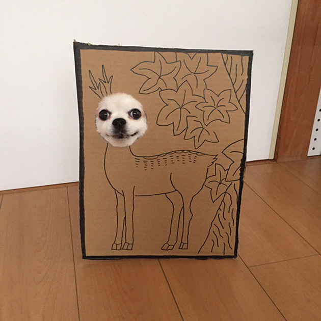 dog-costume-cardboard-cutouts-myouonnin-2