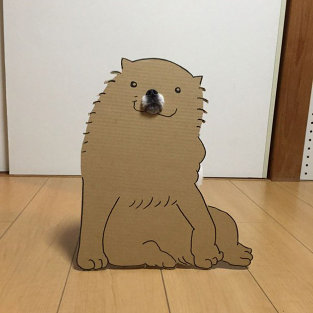 dog-costume-cardboard-cutouts-myouonnin-4