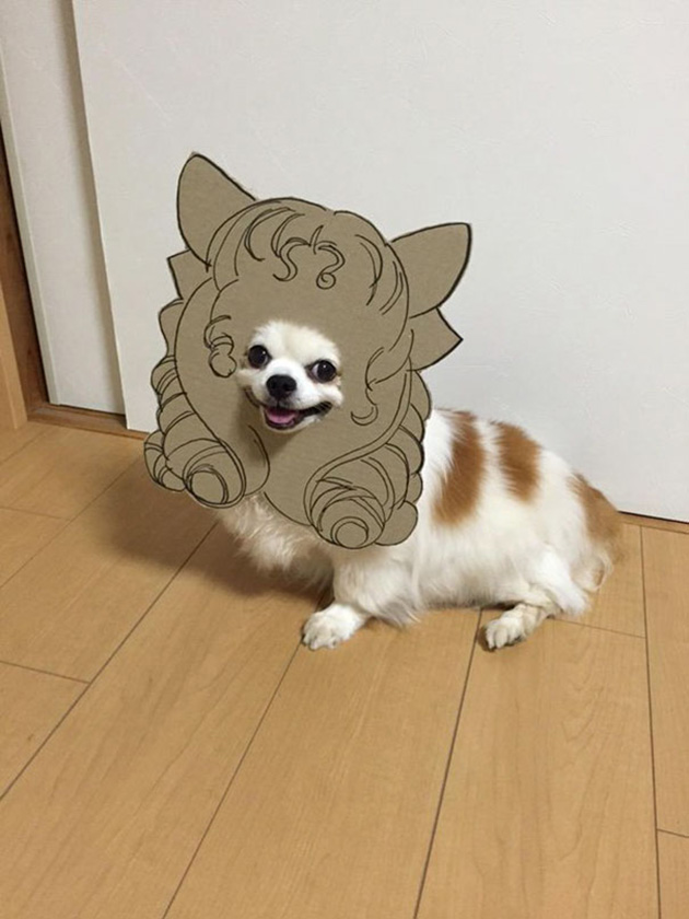 dog-costume-cardboard-cutouts-myouonnin-6