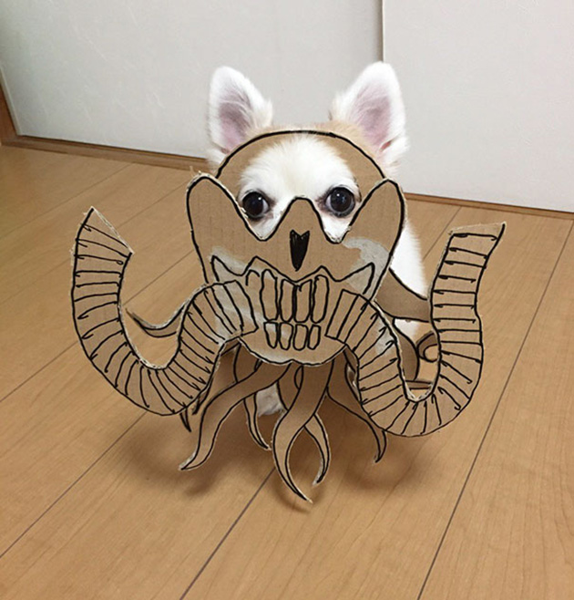 dog-costume-cardboard-cutouts-myouonnin-7