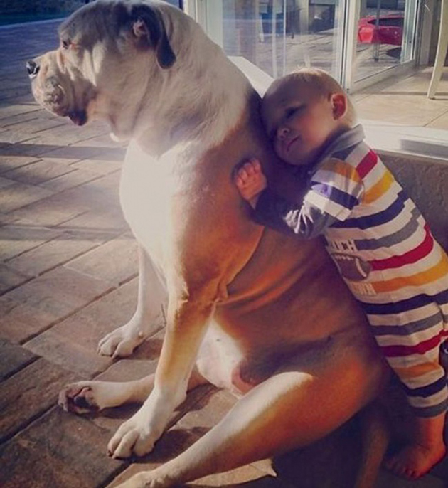 every-child-should-have-a-pet