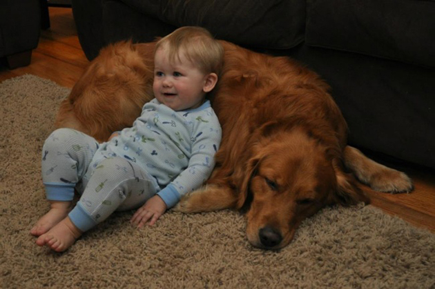 every-child-should-have-a-pet