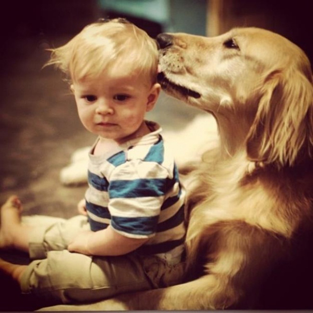 every-child-should-have-a-pet