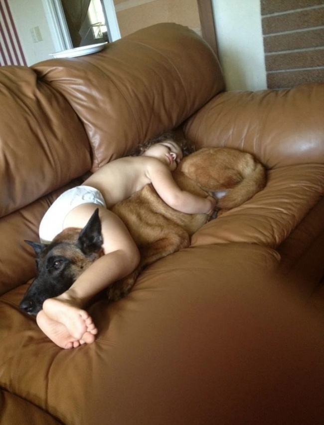 every-child-should-have-a-pet