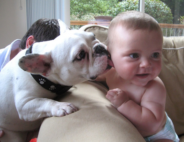 every-child-should-have-a-pet
