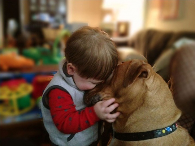 every-child-should-have-a-pet