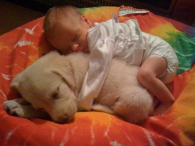 every-child-should-have-a-pet