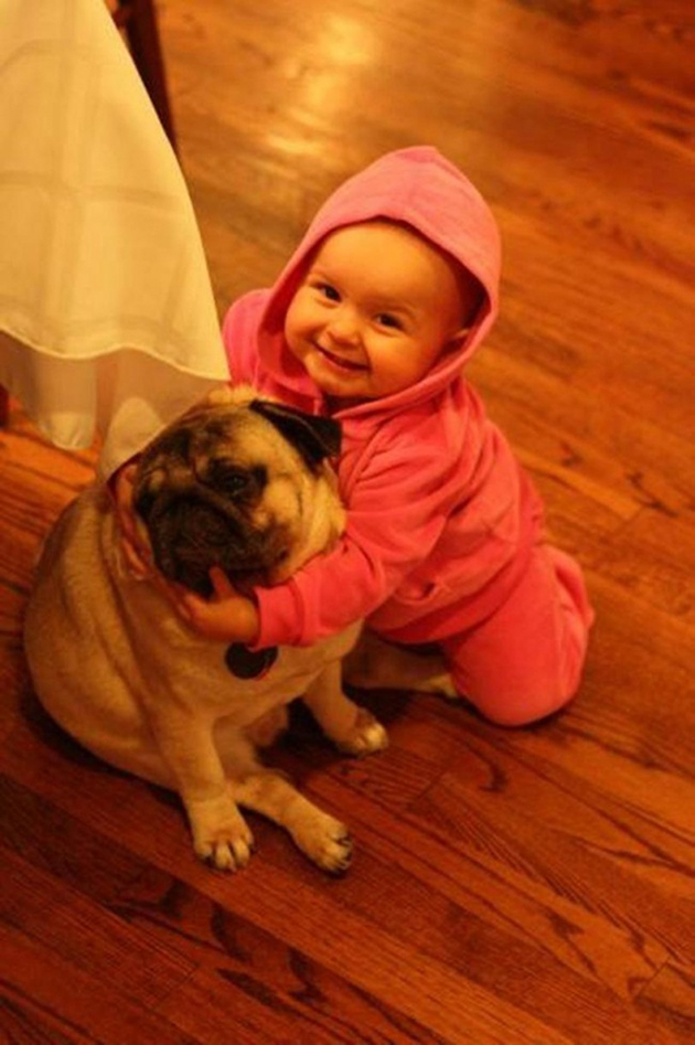 every-child-should-have-a-pet