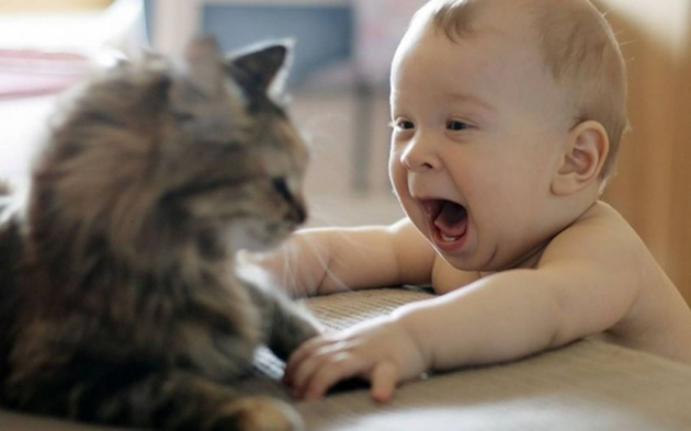 every-child-should-have-a-pet