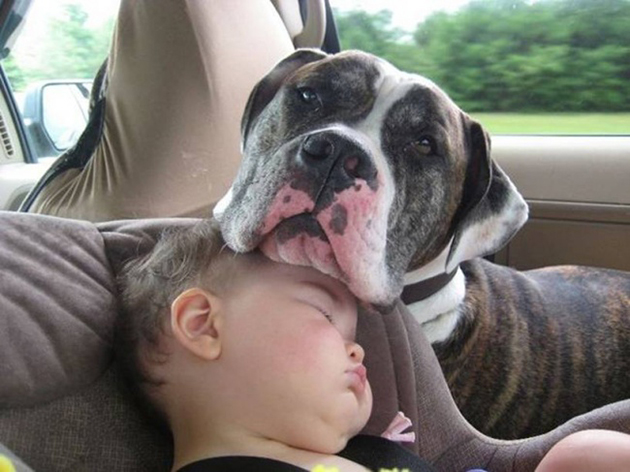 every-child-should-have-a-pet