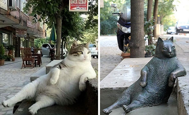 laid-back-cat-statue-tombili-istanbul