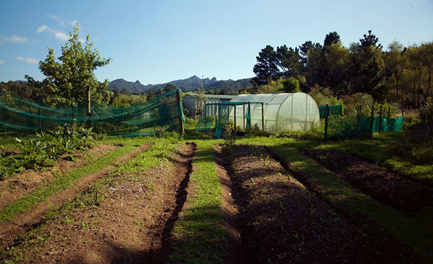 permaculture-farm