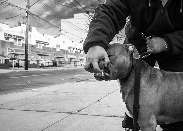 photography-donato-di-camillo-32