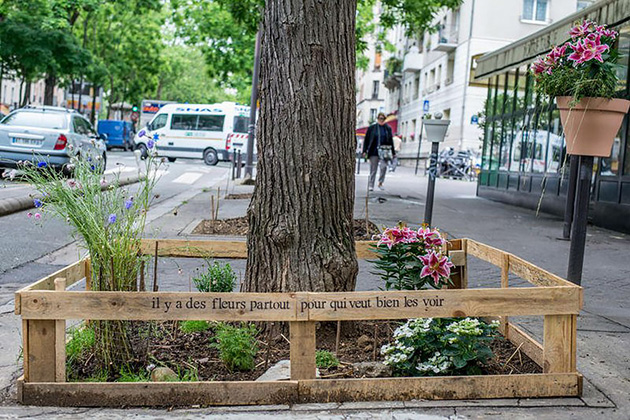 plant-urban-gardens-anyone-law-paris