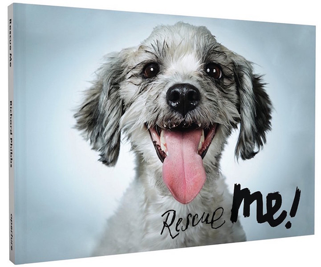 Portraits of Once-Neglected Dogs