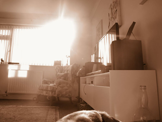 stanley-jones-19-month-old-pov