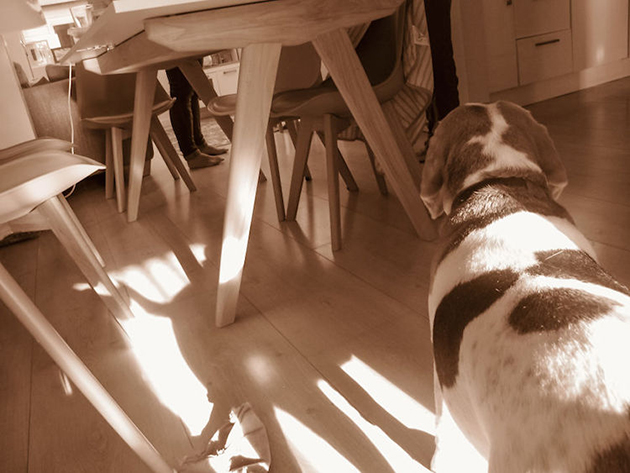 stanley-jones-19-month-old-pov