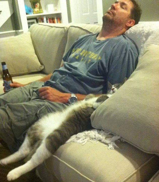 8cats