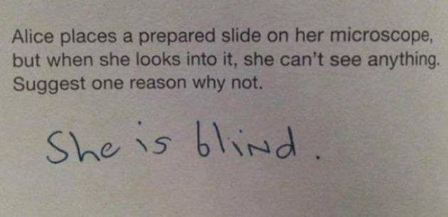 funny exam answers