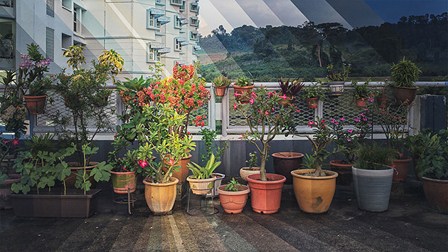 cityscapes-transition-photos-7