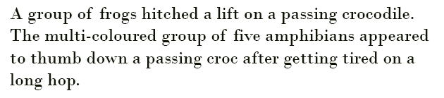 crocodile-frogs-11